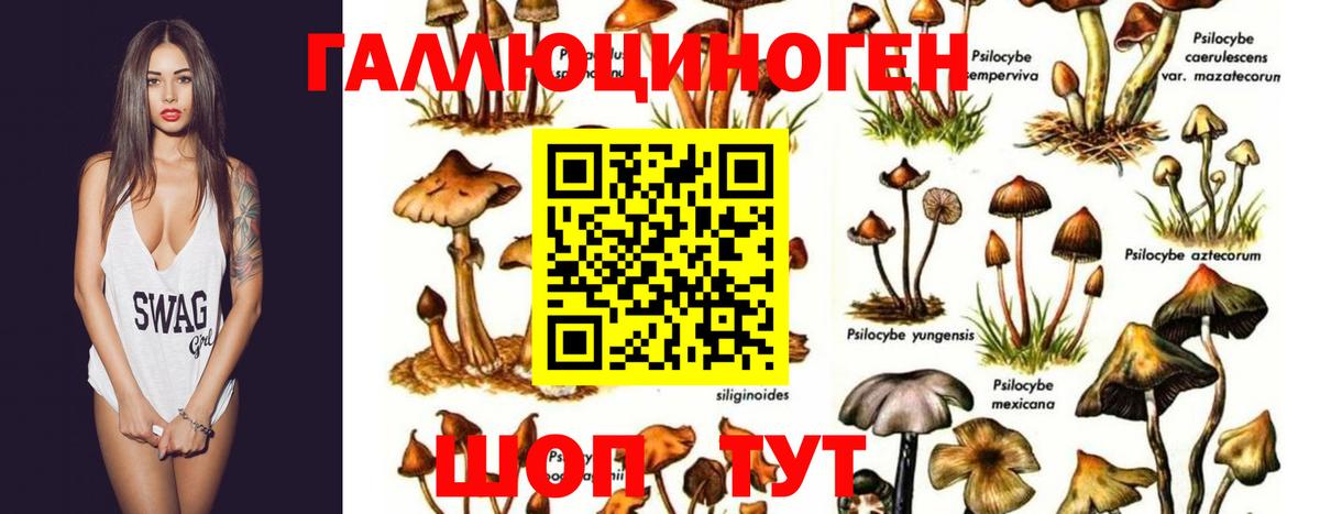 Псилоцибиновые грибы мухоморы  Вход с VPN  Самара 