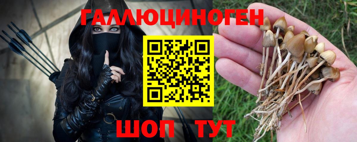 Псилоцибиновые грибы мицелий Самара